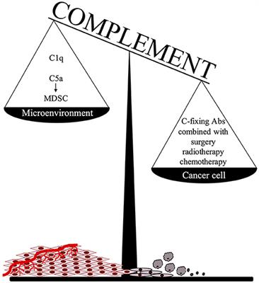 Complement as a Biological Tool to Control Tumor Growth